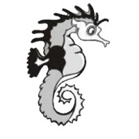 Sea-Horse